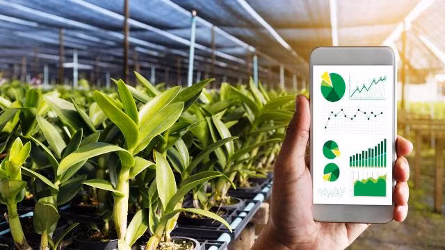 Digital transformation - way out for agricultural sector amid difficulties ảnh 2