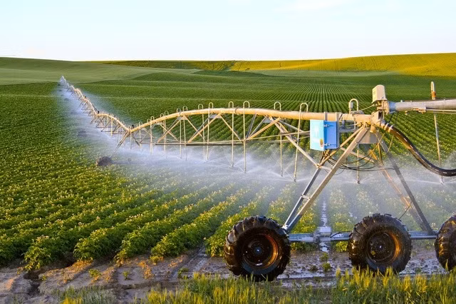 Digital transformation - way out for agricultural sector amid difficulties ảnh 1