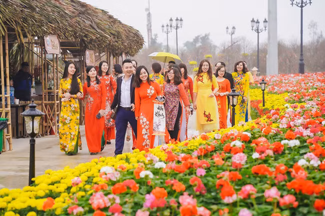 HCM City to host spring flower festival in late January ảnh 1