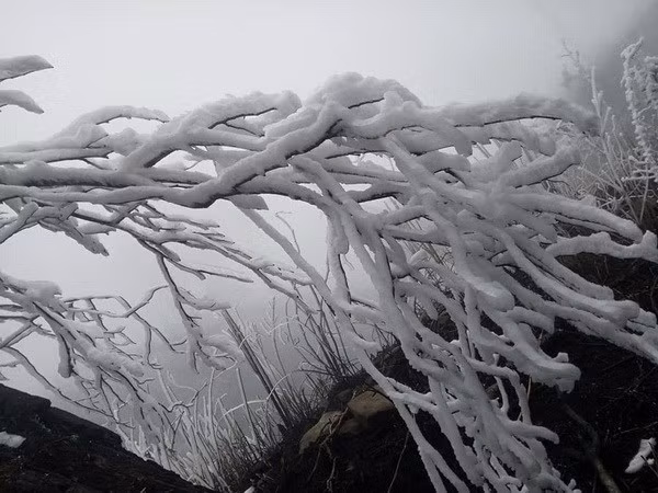 Northern region to turn severely cold from January 17 ảnh 1