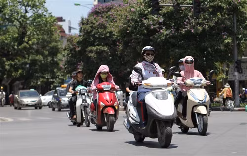 Hospital admissions up during heat ảnh 1