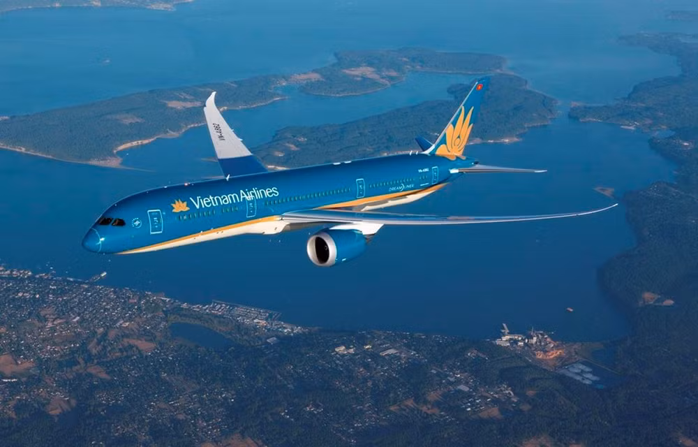 Vietnam Airlines plane makes emergency landing to save French passenger ảnh 1