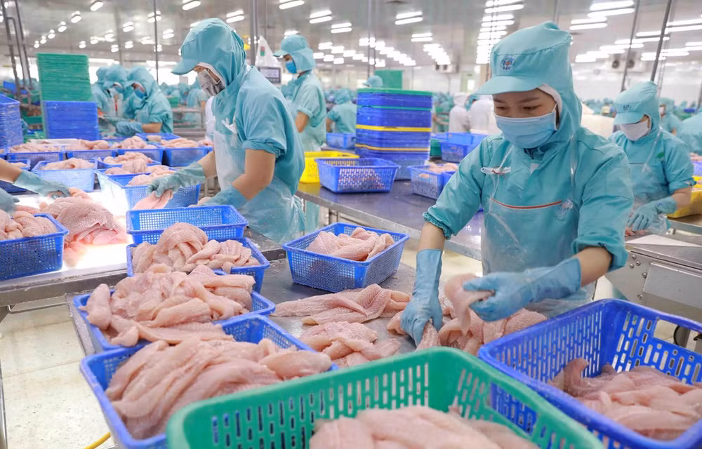Aquatic product exports expected to recover from late Q3 ảnh 1