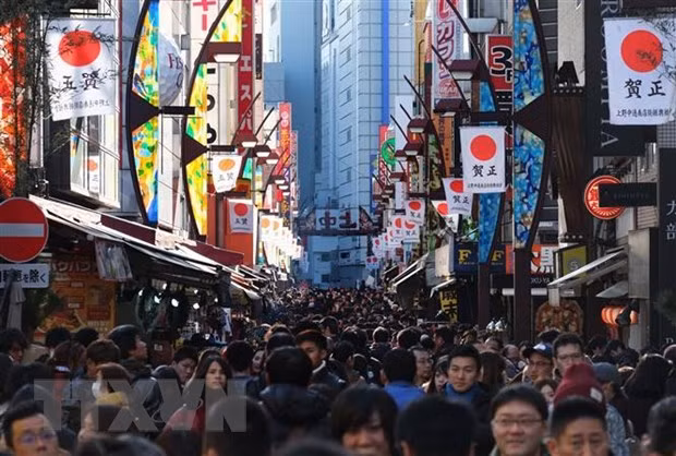 Vietnam becomes fastest growing tourism market of Japan ảnh 1 Vietnam becomes fastest growing tourism market of Japan ảnh 1