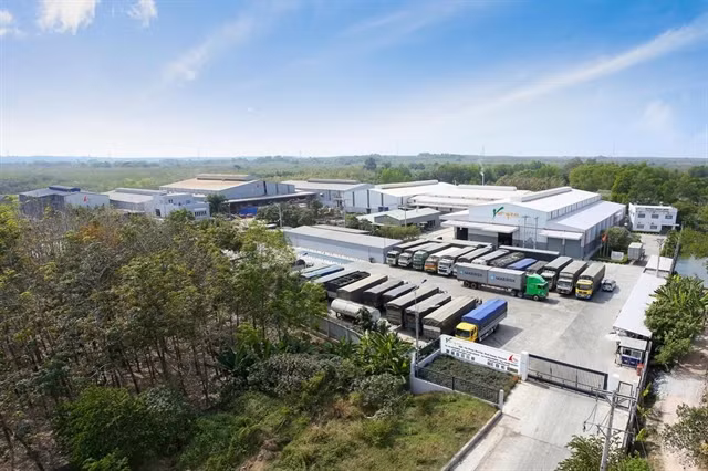 Vietnam's largest spices exporter receives investment from EU ảnh 1 Vietnam's largest spices exporter receives investment from EU ảnh 1