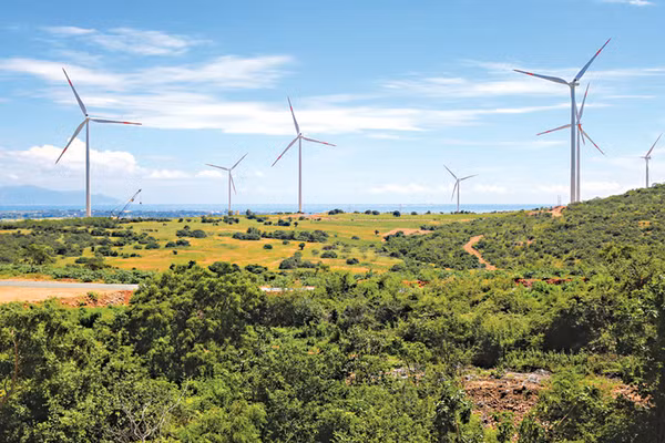 Vietnam, Belgium seek stronger partnership in renewable energy, port development ảnh 1