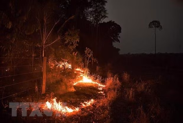 Over 2,500 fire hotspots observed in ASEAN last week ảnh 1 Over 2,500 fire hotspots observed in ASEAN last week ảnh 1
