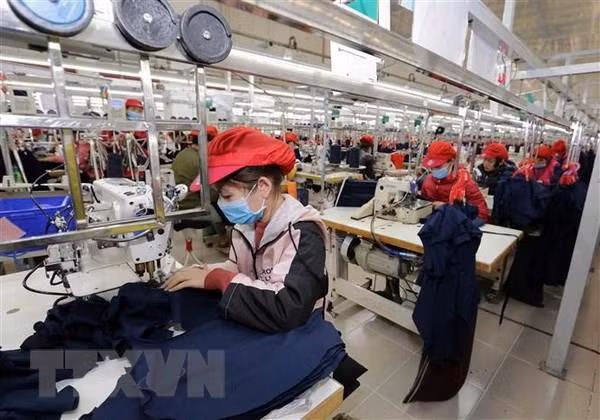 Measures sought to support firms in exporting to ASEAN market ảnh 1