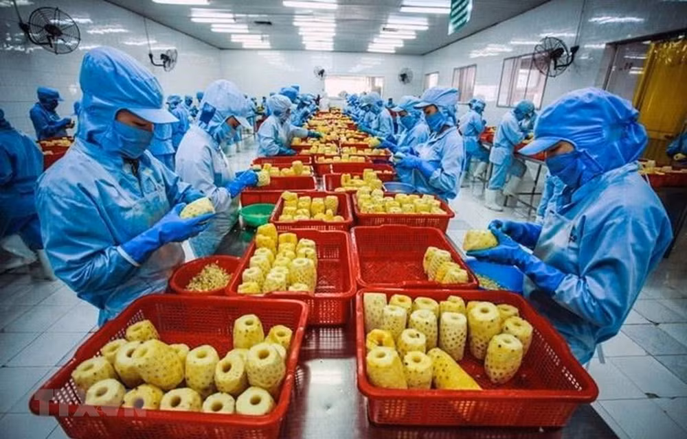 Fruit, vegetable exports fall 5.8 percent in eight months ảnh 1