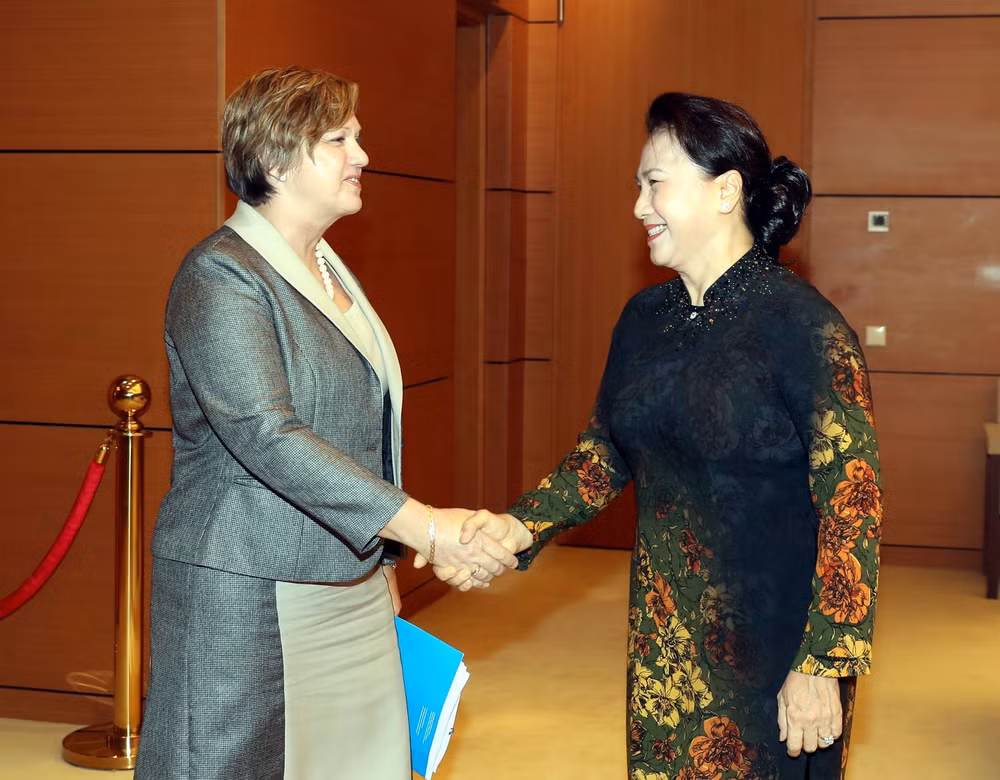 Top legislator hails UNICEF’s support of child protection in Vietnam ảnh 1