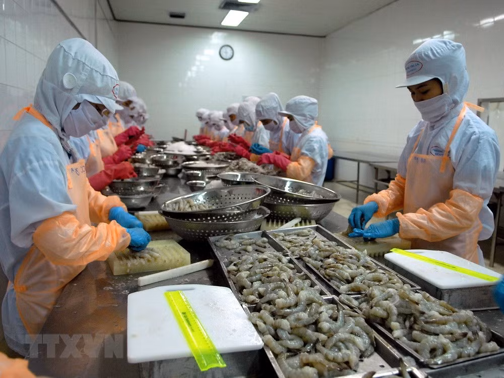 Vietnam should give its shrimp a brand ảnh 1