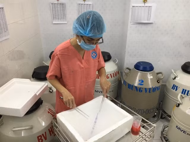 HCM City’s public hospital allowed to offer surrogacy procedure ảnh 1
