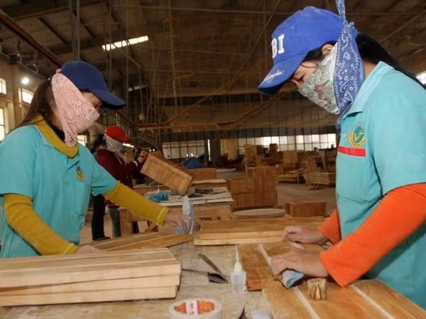 Vietnamese SMEs shown how to enter global supply chains ảnh 1