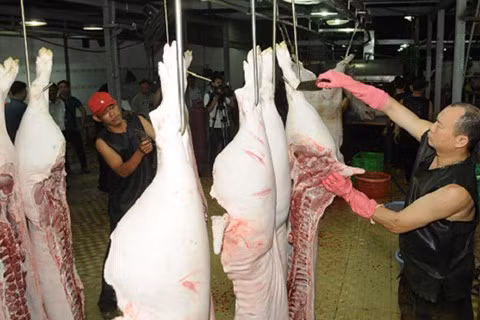 Pork shortage expected later this year ảnh 1