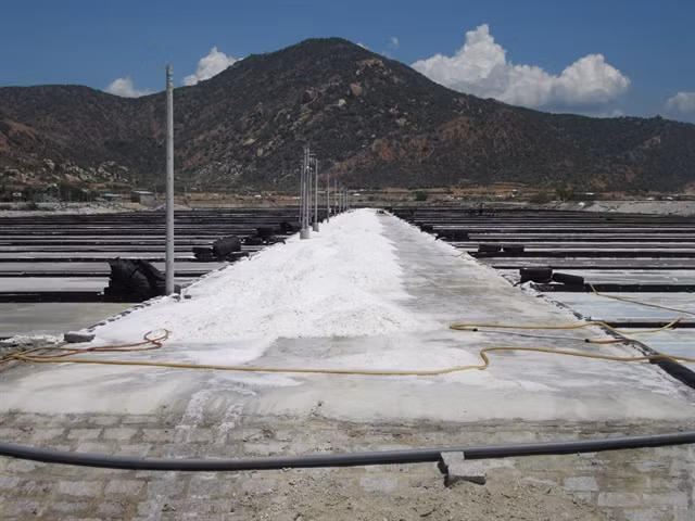 Ninh Thuan to become country’s top salt producer ảnh 1