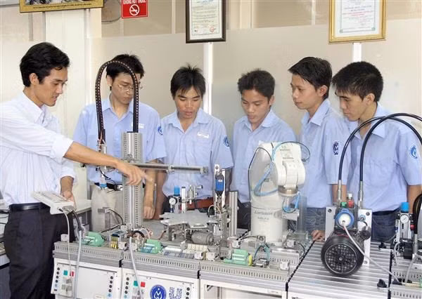 Vocational education needs reform ảnh 1 Vocational education needs reform ảnh 1