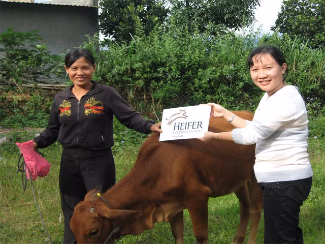 Tien Giang: Disadvantaged people supported to transform production ảnh 1