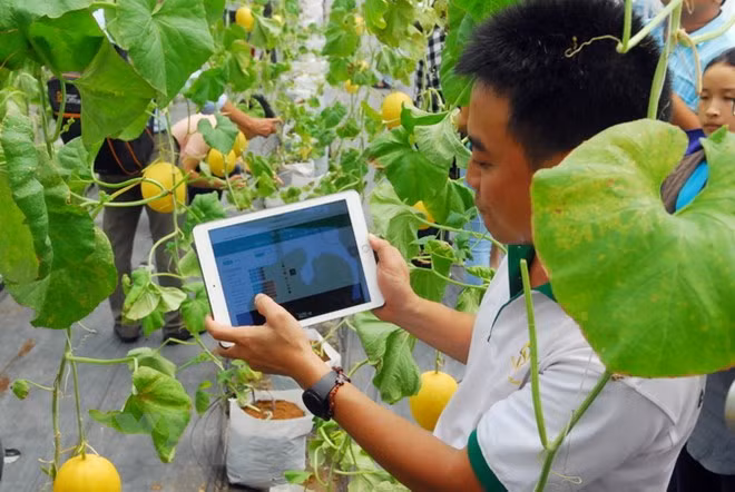  HCM City launches tech development fund ảnh 1
