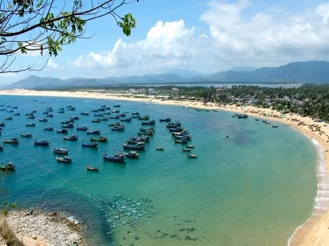 Phu Yen to host business promotion conference ảnh 1