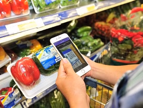 Hanoi to use QR code to trace fruit origins ảnh 1