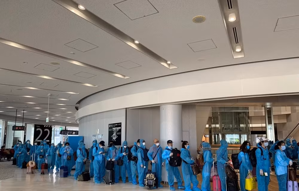 Over 190 Vietnamese citizens brought home from Japan ảnh 1