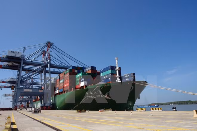 Cai Mep int’l port welcomes large container ship ảnh 1