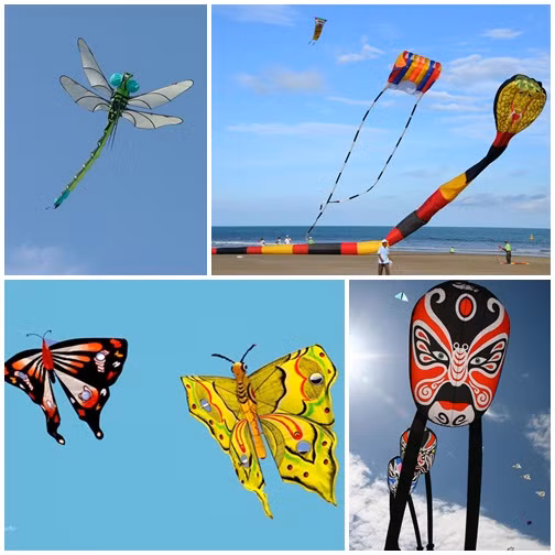 Giant kites soar up into Hung Yen province’s sky ảnh 1 Giant kites soar up into Hung Yen province’s sky ảnh 1
