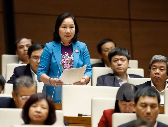 Lawmakers demand radical solutions to socio-economic worries ảnh 1 Lawmakers demand radical solutions to socio-economic worries ảnh 1