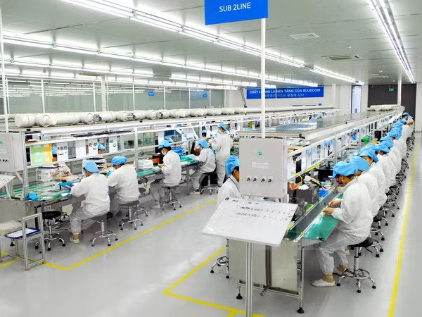 WB: Vietnam sets successful example ảnh 1