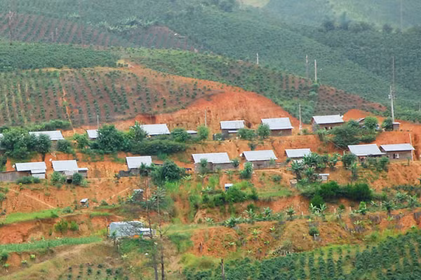 Lam Dong: Lac Duong district resettles ethnic minorities ảnh 1 Lam Dong: Lac Duong district resettles ethnic minorities ảnh 1