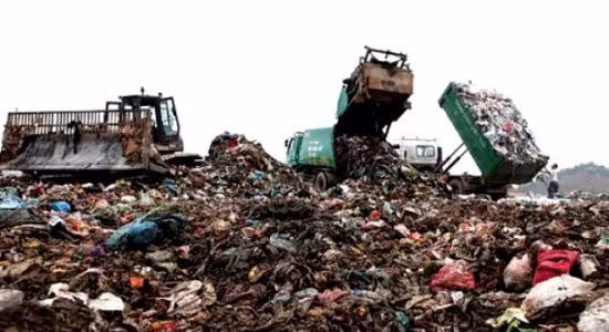 Incentives needed to boost environmental industry ảnh 1