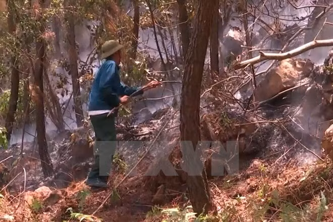 Forest fire warning on high level in many localities ảnh 1
