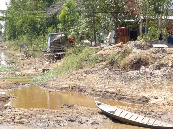 Various measures taken to weather drought, saline intrusion ảnh 1