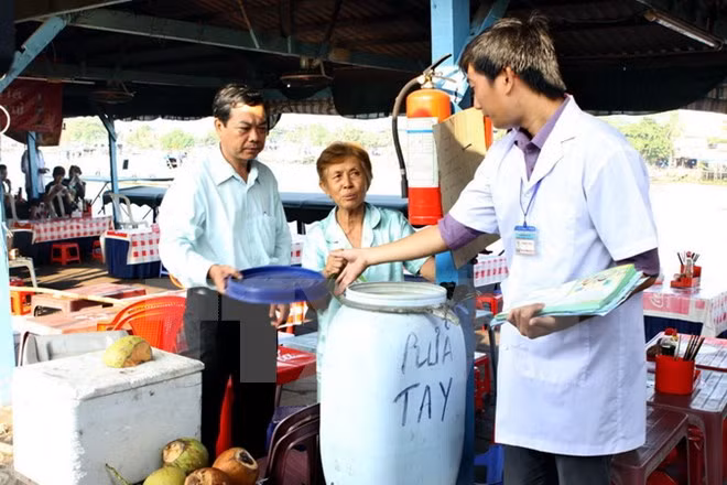 HCM City declares end of Zika virus at ward level ảnh 1