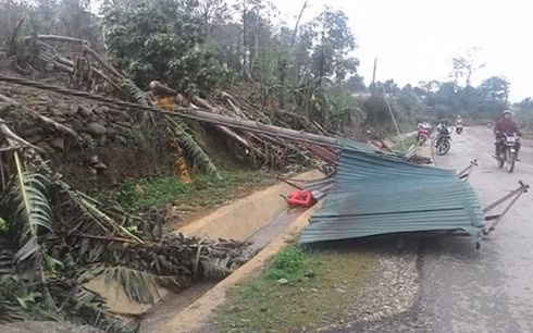 Hailstorm wrecks havoc in many localities ảnh 1