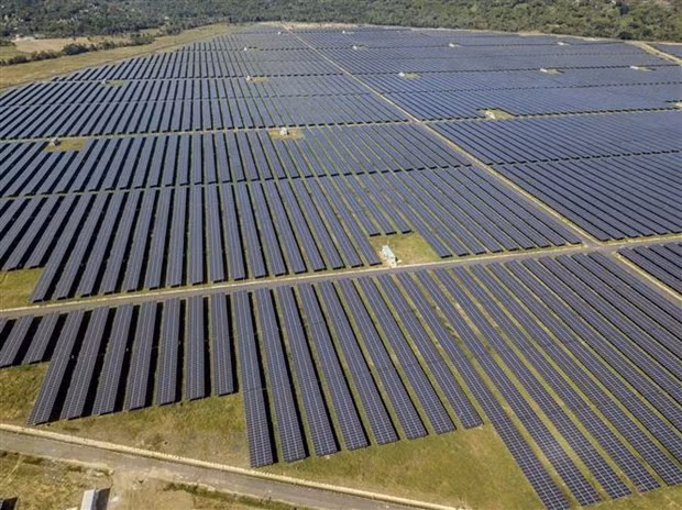 Energy transition critical to net zero emission achievement: confab ảnh 1