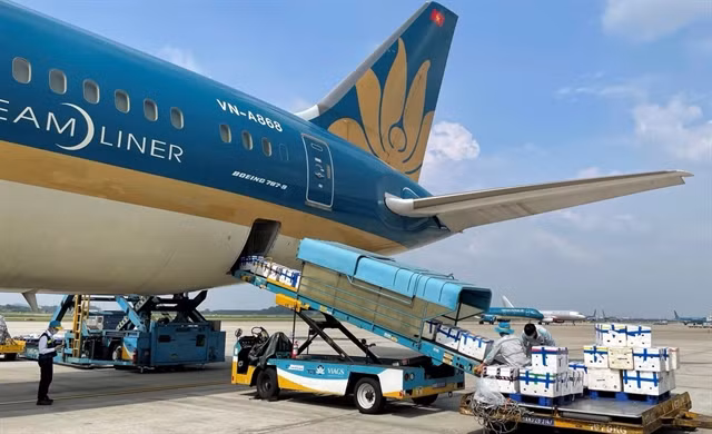 Strategy needed for air freight to take off ảnh 1