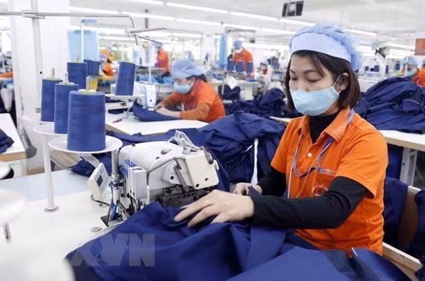 Textile - garment sector sees strong growth ảnh 1 Textile - garment sector sees strong growth ảnh 1