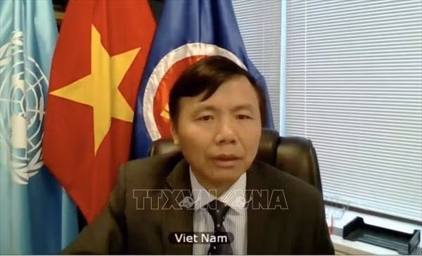 Vietnam concerned about use of force in international relations ảnh 1