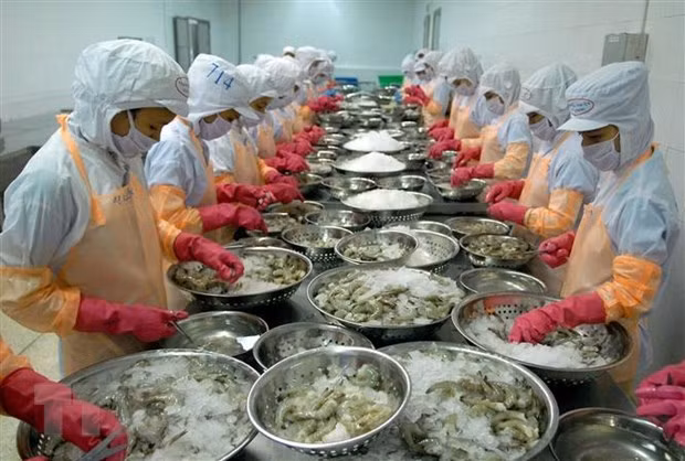 Vietnam’s economic achievements surprise the world ảnh 3 Vietnam’s economic achievements surprise the world ảnh 3
