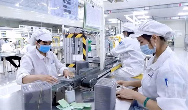 White & Case: High-growth industries in Vietnam attract investors ảnh 1