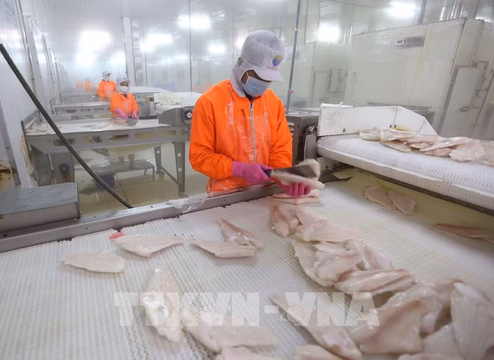 Over 84 percent of production firms in Can Tho resume operations ảnh 1