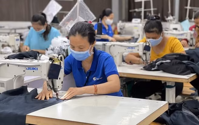 Unemployment insurance fund benefits 8.34 million pandemic-hit workers ảnh 1