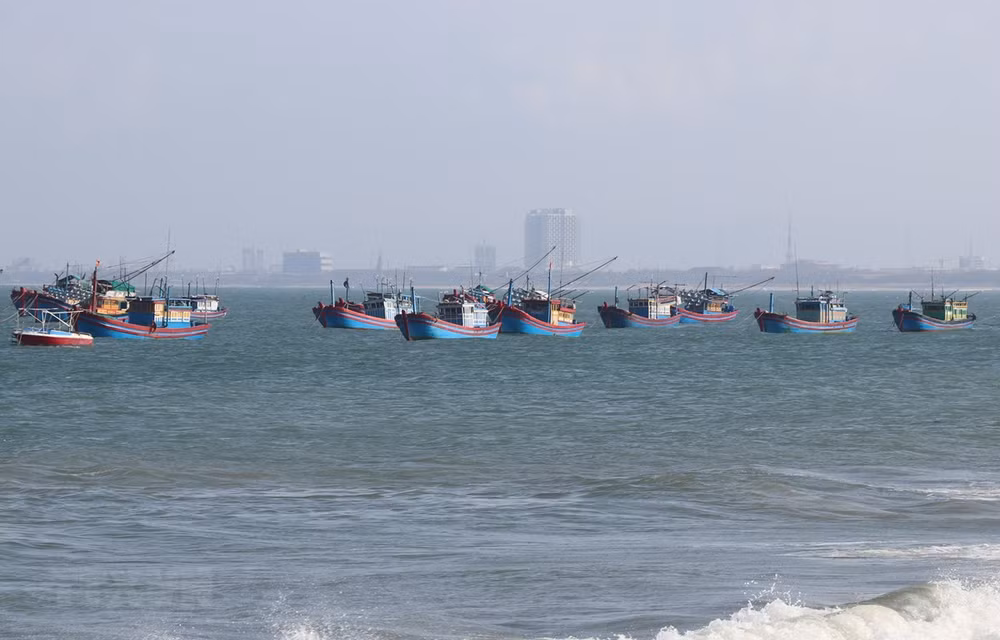 Directive issued to better preserve marine reserves ảnh 1 Directive issued to better preserve marine reserves ảnh 1