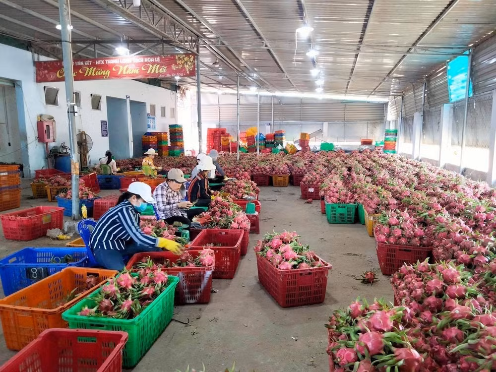 Agro-forestry-fisheries exports rise 13 percent in 10 months ảnh 1 Agro-forestry-fisheries exports rise 13 percent in 10 months ảnh 1