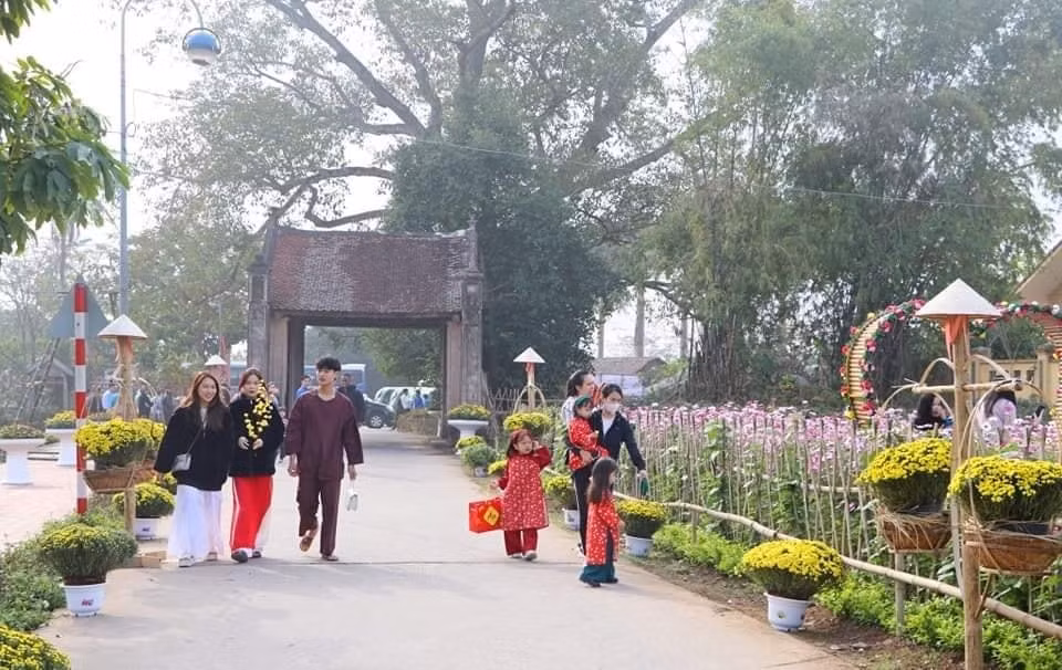 Experiencing Vietnamese Tet in Duong Lam Ancient Village ảnh 2