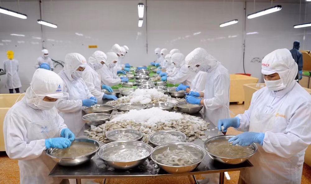 Vietnam's shrimp industry charts own course amid global competition ảnh 1