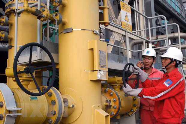 Investors of Son My gas-electricity chain projects make debut ảnh 2