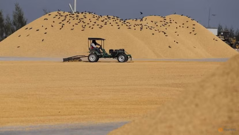 Thailand raises rice export target to 8.5 million tonnes in 2023 ảnh 1