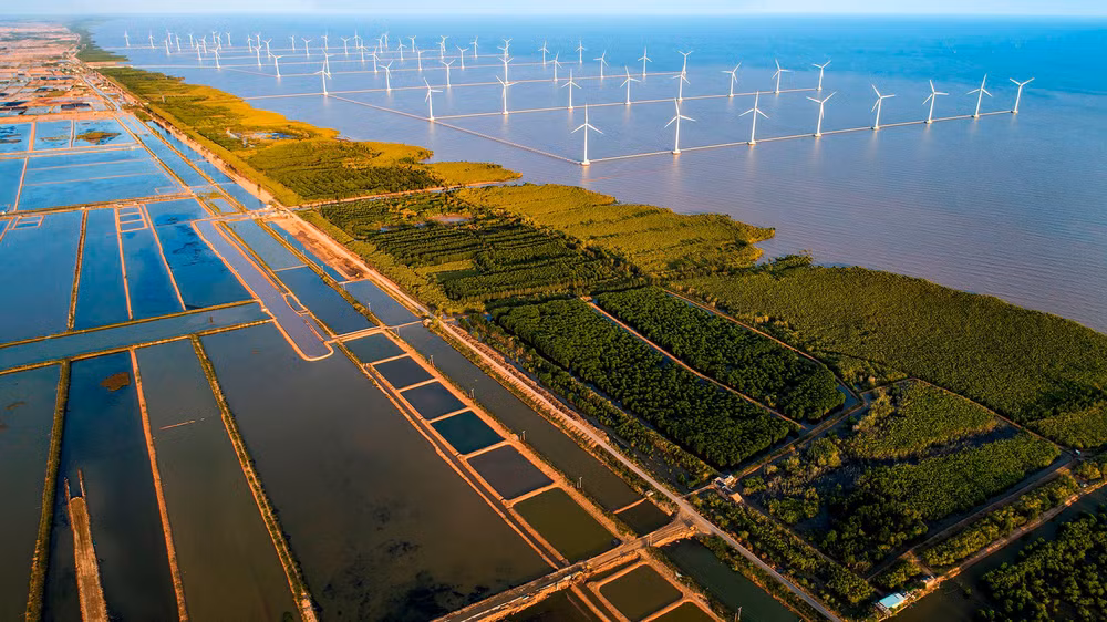 Int’l community hails Vietnam’s commitments to climate change actions: Ambassador ảnh 2